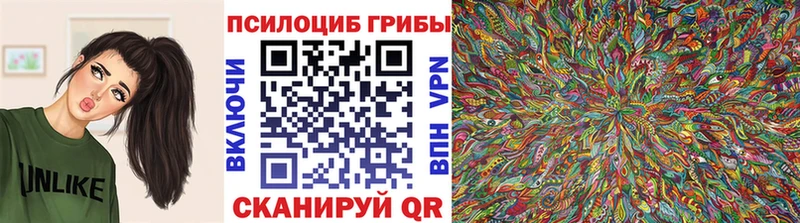 Псилоцибиновые грибы Cubensis  что такое наркотик  KRAKEN как зайти  Покачи 